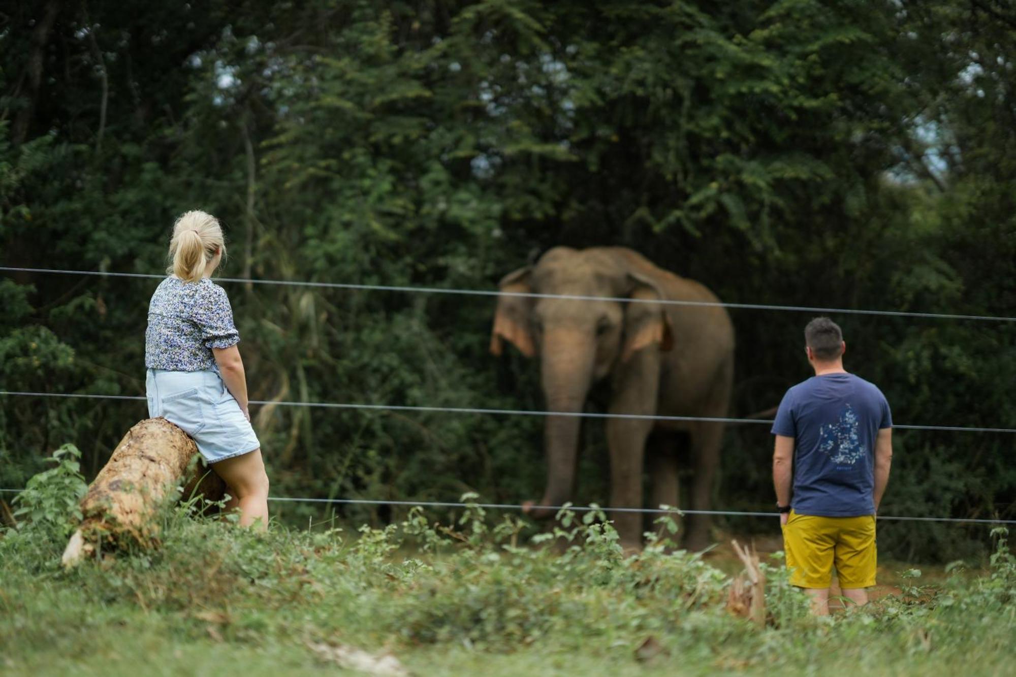 Elephant Trail Hotel Udawalawe Eksteriør billede